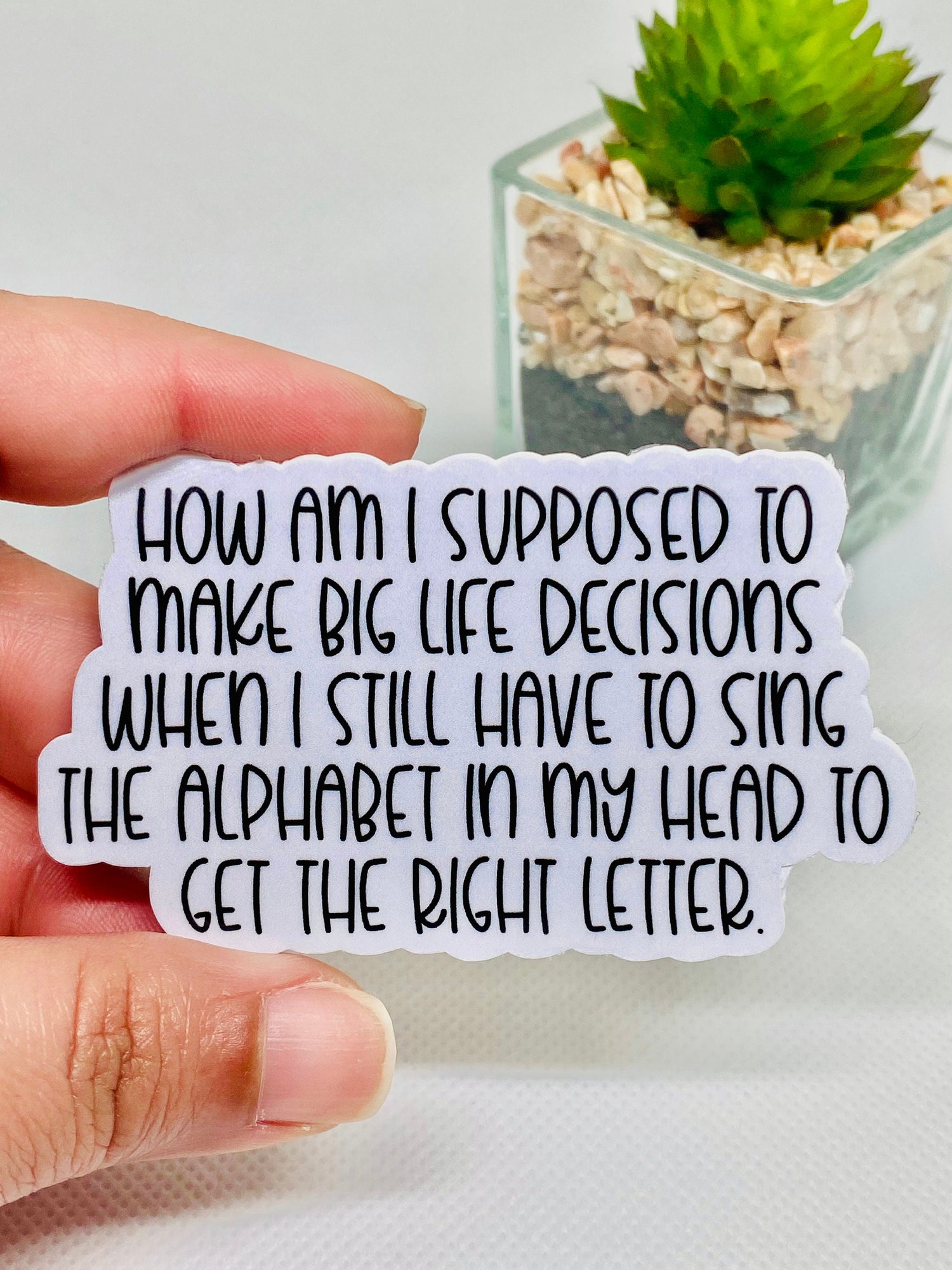 Big Decisions | | Funny Sticker | Water Bottle Sticker | Laptop Sticker | Vinyl Sticker | Laminated Sticker | Waterproof